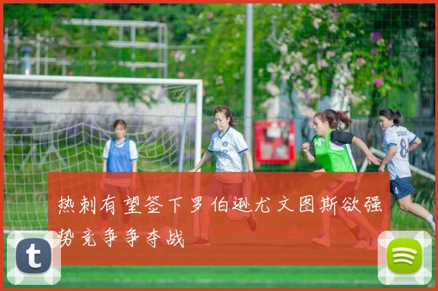 热刺有望签下罗伯逊尤文图斯欲强势竞争争夺战