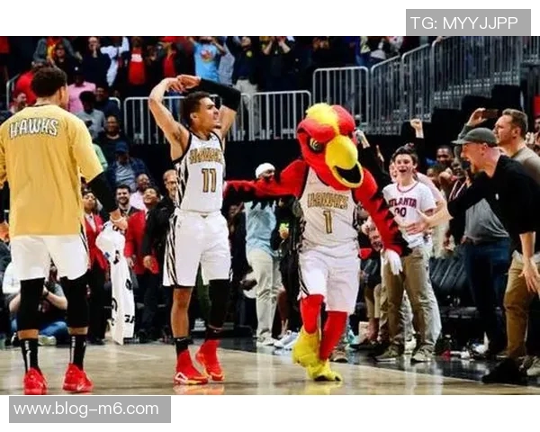 老鹰队建队理念借鉴绿军策略未来将进行针对性阵容升级